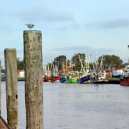 Hausboot An Der Lagune Unterdeck *